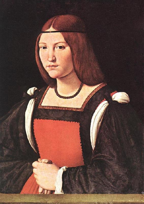BOLTRAFFIO, Giovanni Antonio Portrait of a Young Woman 55 Spain oil painting art